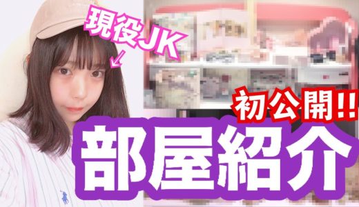 【大公開】現役女子高生のお部屋紹介〜みぽたぽた編〜