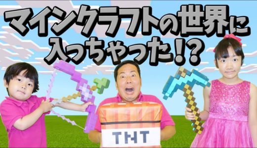 ★実写版マインクラフト！「マイクラの世界に入っちゃった～」★Live Action Mine Craft★