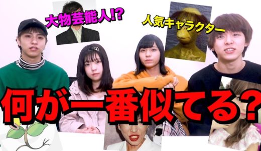 叩かれるの覚悟でメンバーが似てる有名人決めてみたら大爆笑www