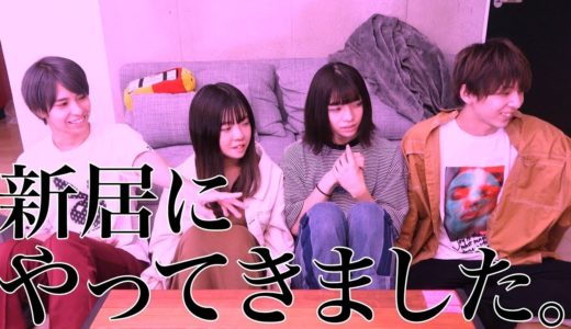 【報告】新しい家族(?)が増えました！！！