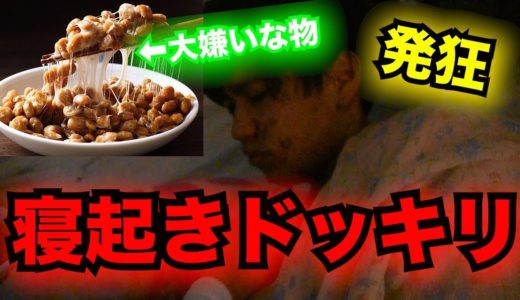 【ドッキリ】オカマが大嫌いな物で寝起きドッキリしてみたwww