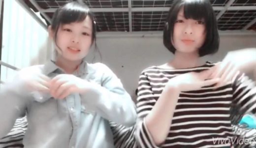 ぎんちゃむクローバー トリセツ やってみた