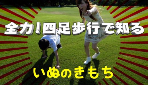 全力四足歩行！！　いぬのきもちを知る。