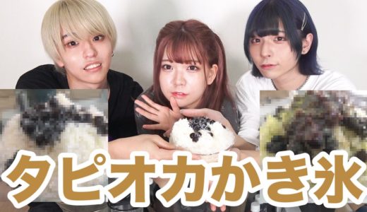 【夏の風物詩】タピオカミルクティーかき氷作ってみた！！！