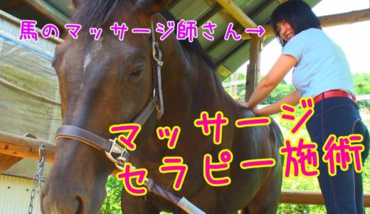 馬のマッサージ！/スポーツセラピーの施術を受けてみた！