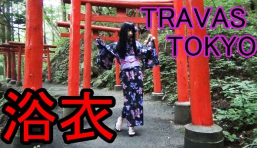 【女装】TRAVAS TOKYO クマ柄浴衣【艶姫猫子】Yukata